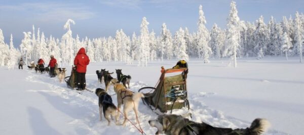 2025 LAPLAND FAMILY HOLIDAY - Image 6