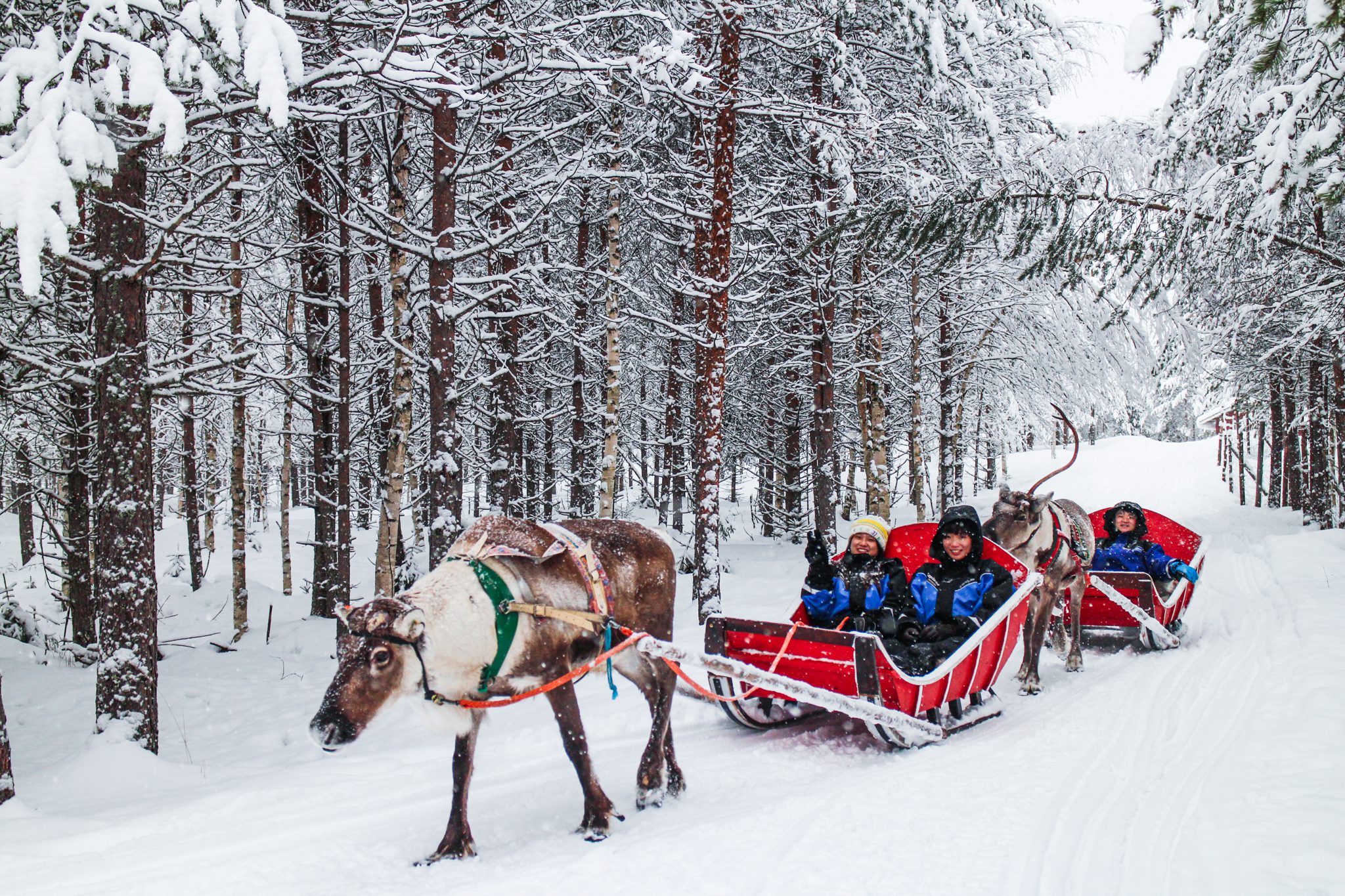 2025 LAPLAND FAMILY HOLIDAY Highland Prize Giveaways